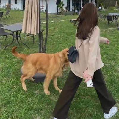 合约男女